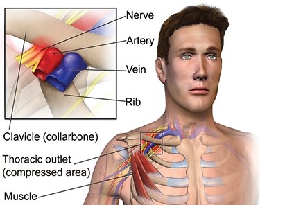 vascular surgeon dr sabih n